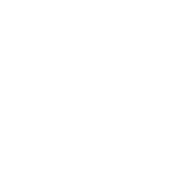 C2E Logo White Transparent