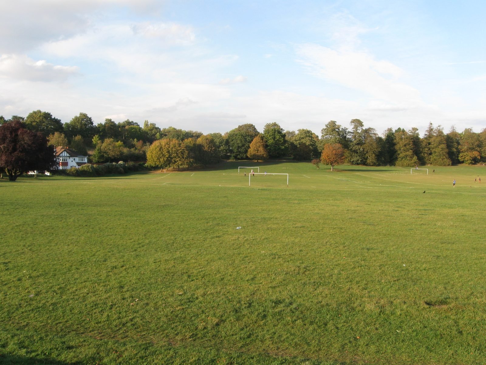 Open green parkland at Lloyd Park, Croydon